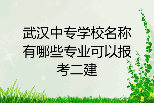 武汉中专学校名称有哪些专业可以报考二建