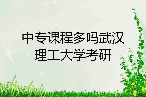 中专课程多吗武汉理工大学考研