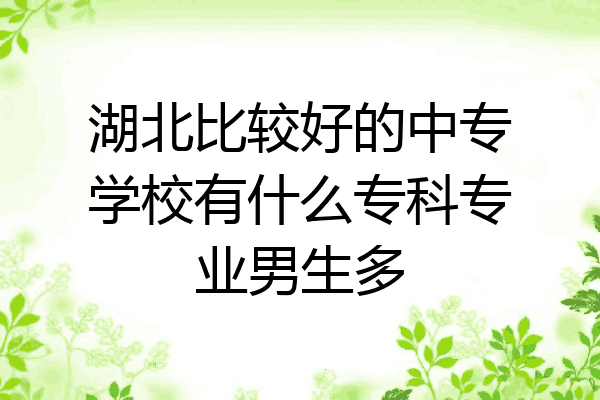湖北比较好的中专学校有什么专科专业男生多
