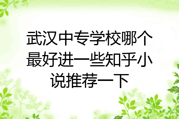 武汉中专学校哪个最好进一些知乎小说推荐一下