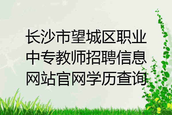 长沙市望城区职业中专教师招聘信息网站官网学历查询