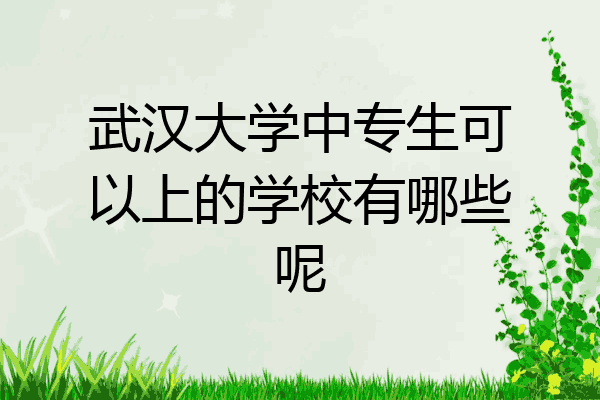武汉大学中专生可以上的学校有哪些呢