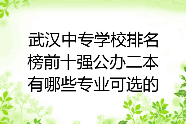 武汉中专学校排名榜前十强公办二本有哪些专业可选的