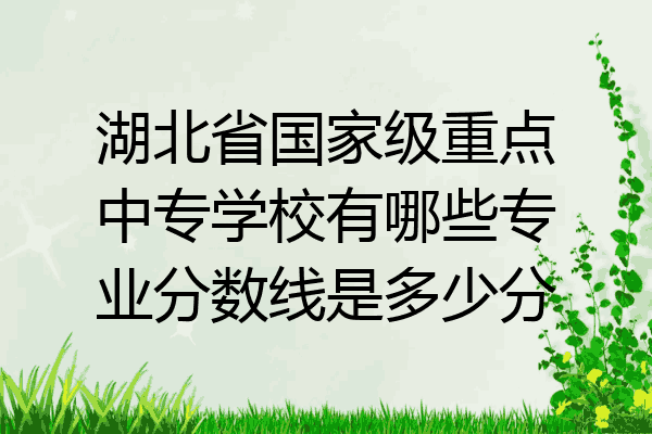 湖北省国家级重点中专学校有哪些专业分数线是多少分