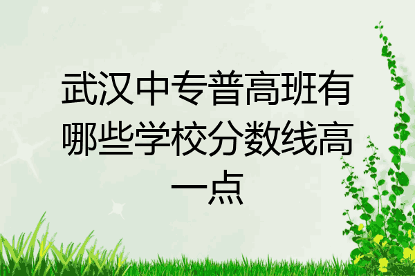武汉中专普高班有哪些学校分数线高一点