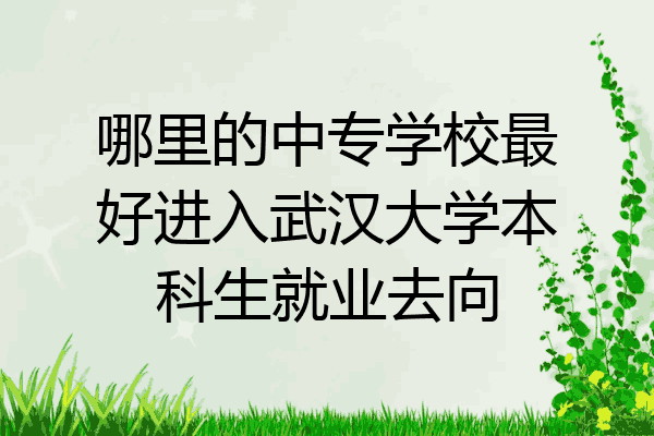 哪里的中专学校最好进入武汉大学本科生就业去向