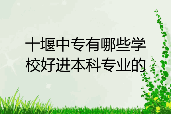 十堰中专有哪些学校好进本科专业的