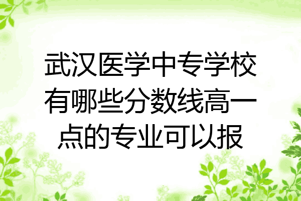 武汉医学中专学校有哪些分数线高一点的专业可以报