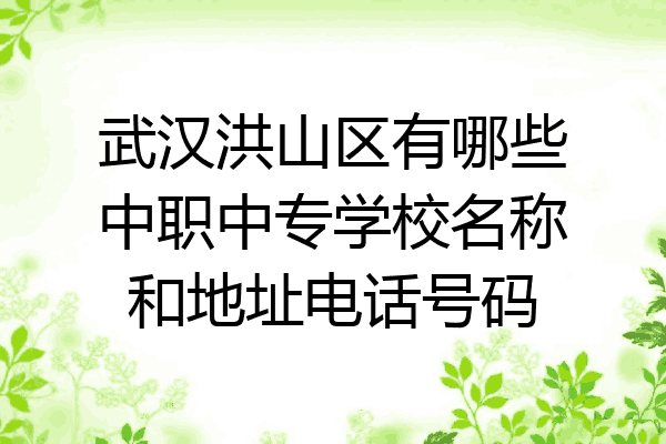 武汉洪山区有哪些中职中专学校名称和地址电话号码