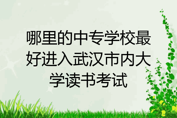 哪里的中专学校最好进入武汉市内大学读书考试