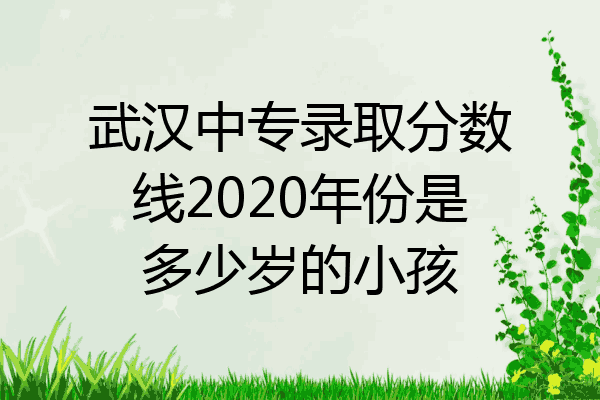 武汉中专录取分数线2020年份是多少岁的小孩