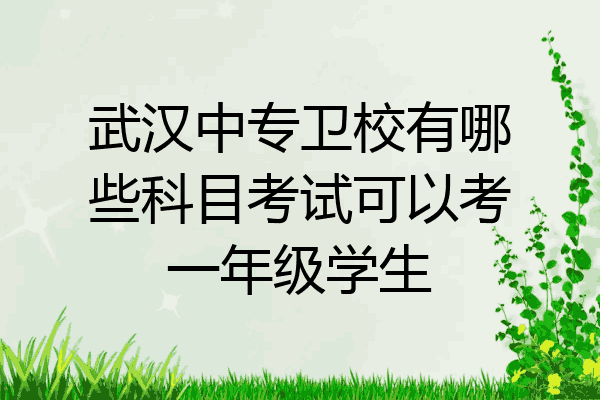 武汉中专卫校有哪些科目考试可以考一年级学生