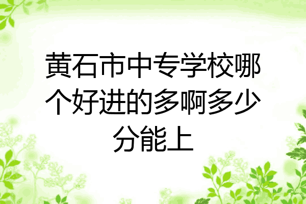 黄石市中专学校哪个好进的多啊多少分能上