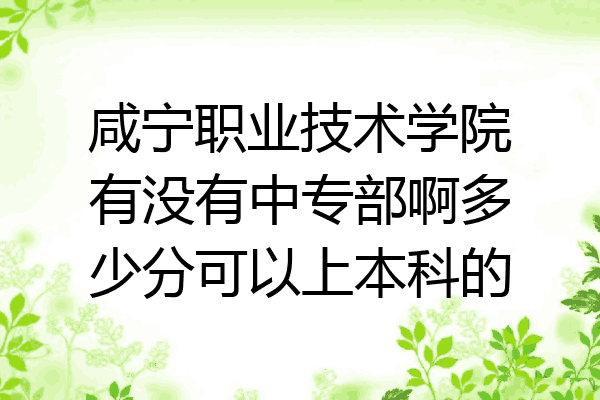 咸宁职业技术学院有没有中专部啊多少分可以上本科的