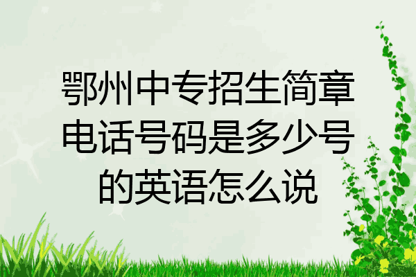 鄂州中专招生简章电话号码是多少号的英语怎么说