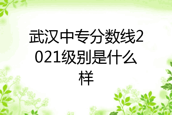 武汉中专分数线2021级别是什么样