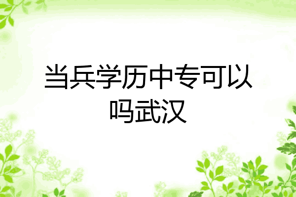 当兵学历中专可以吗武汉