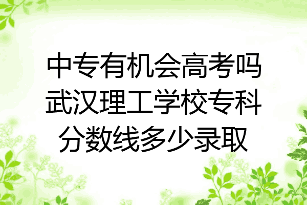 中专有机会高考吗武汉理工学校专科分数线多少录取