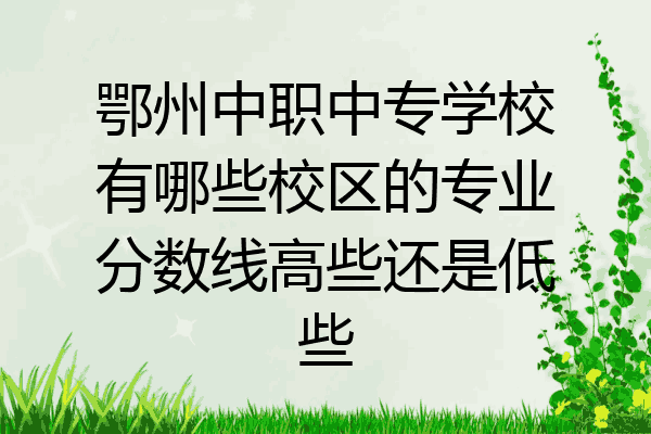 鄂州中职中专学校有哪些校区的专业分数线高些还是低些