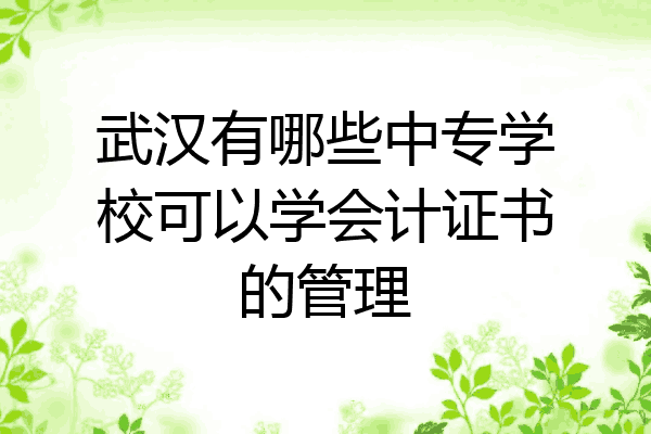 武汉有哪些中专学校可以学会计证书的管理