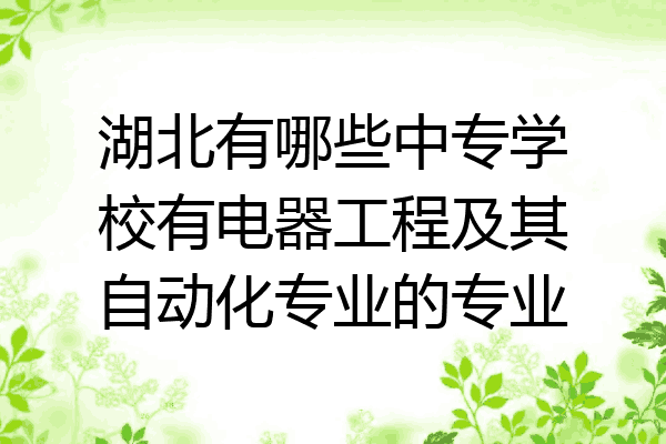 湖北有哪些中专学校有电器工程及其自动化专业的专业