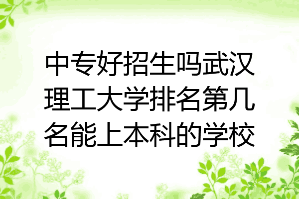 中专好招生吗武汉理工大学排名第几名能上本科的学校