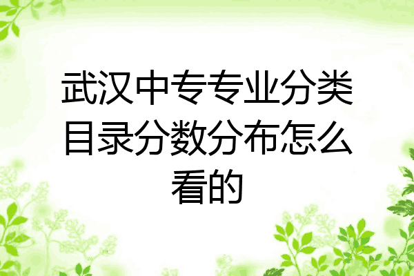 武汉中专专业分类目录分数分布怎么看的