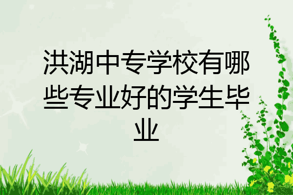 洪湖中专学校有哪些专业好的学生毕业
