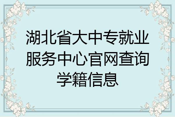 湖北省大中专就业服务中心官网查询学籍信息