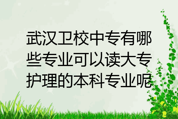 武汉卫校中专有哪些专业可以读大专护理的本科专业呢