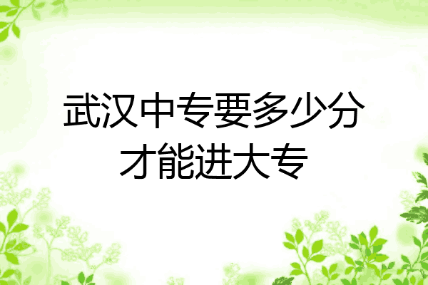 武汉中专要多少分才能进大专