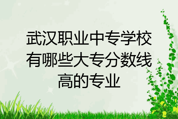 武汉职业中专学校有哪些大专分数线高的专业