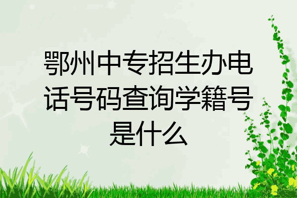 鄂州中专招生办电话号码查询学籍号是什么