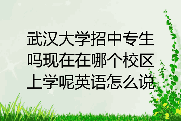武汉大学招中专生吗现在在哪个校区上学呢英语怎么说