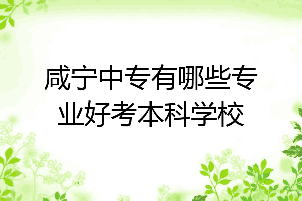 咸宁中专有哪些专业好考本科学校