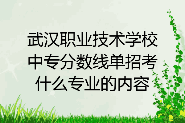武汉职业技术学校中专分数线单招考什么专业的内容