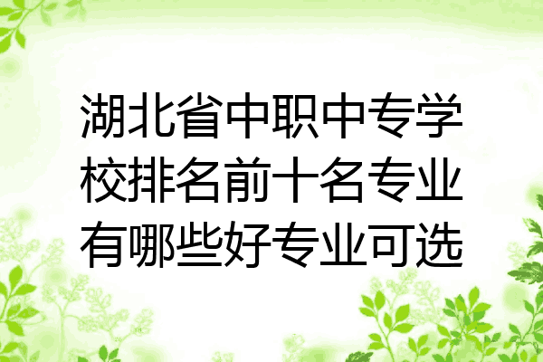湖北省中职中专学校排名前十名专业有哪些好专业可选