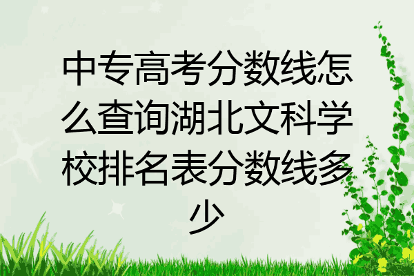 中专高考分数线怎么查询湖北文科学校排名表分数线多少