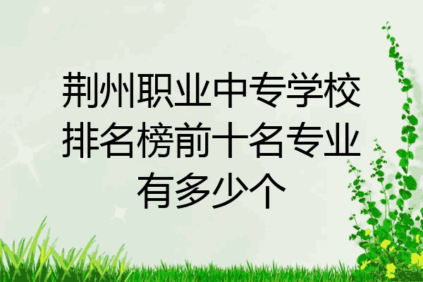 荆州职业中专学校排名榜前十名专业有多少个