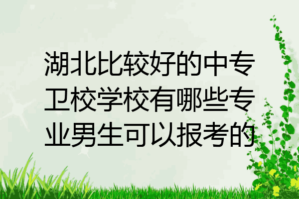 湖北比较好的中专卫校学校有哪些专业男生可以报考的