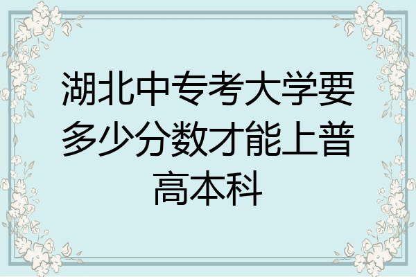 湖北中专考大学要多少分数才能上普高本科