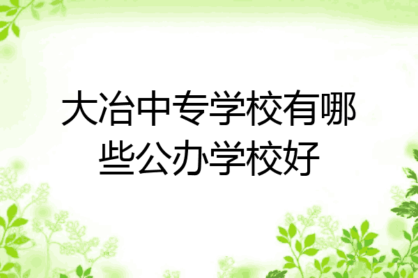 大冶中专学校有哪些公办学校好