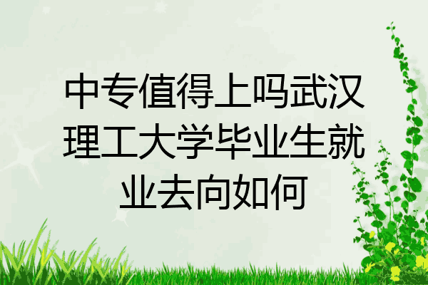 中专值得上吗武汉理工大学毕业生就业去向如何