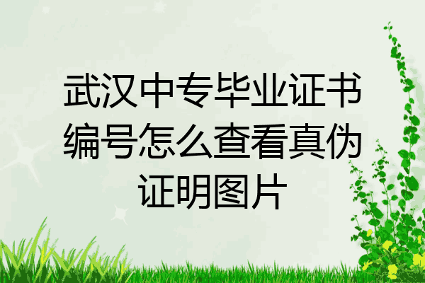 武汉中专毕业证书编号怎么查看真伪证明图片