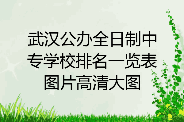 武汉公办全日制中专学校排名一览表图片高清大图