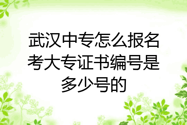 武汉中专怎么报名考大专证书编号是多少号的