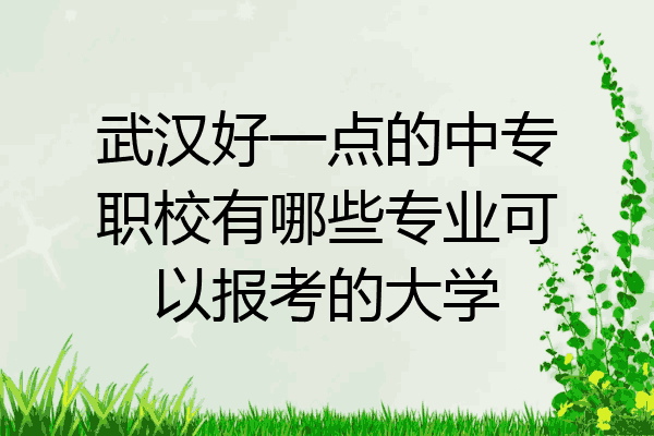 武汉好一点的中专职校有哪些专业可以报考的大学