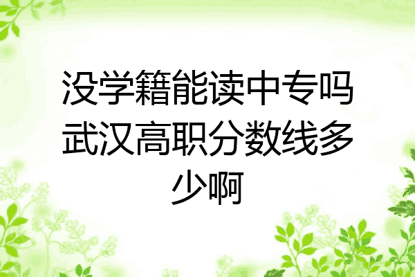 没学籍能读中专吗武汉高职分数线多少啊
