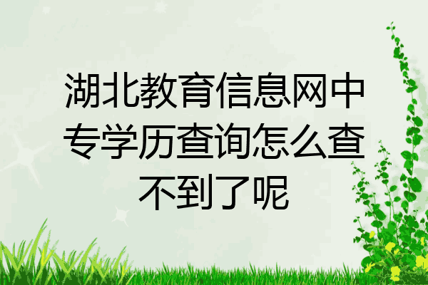 湖北教育信息网中专学历查询怎么查不到了呢