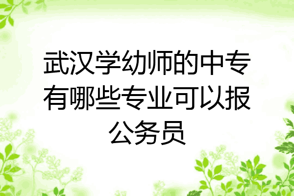 武汉学幼师的中专有哪些专业可以报公务员
